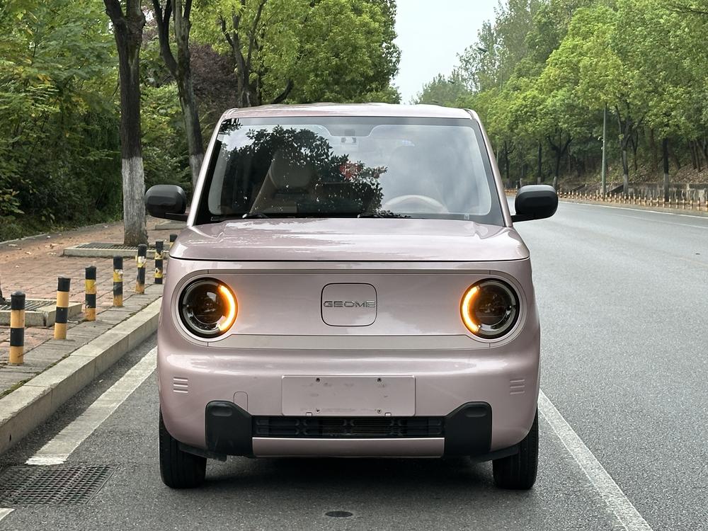 Galaxy Panda
