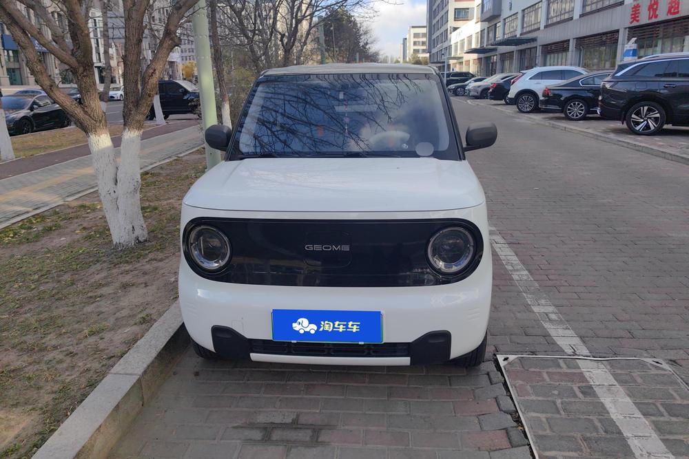 Galaxy Panda