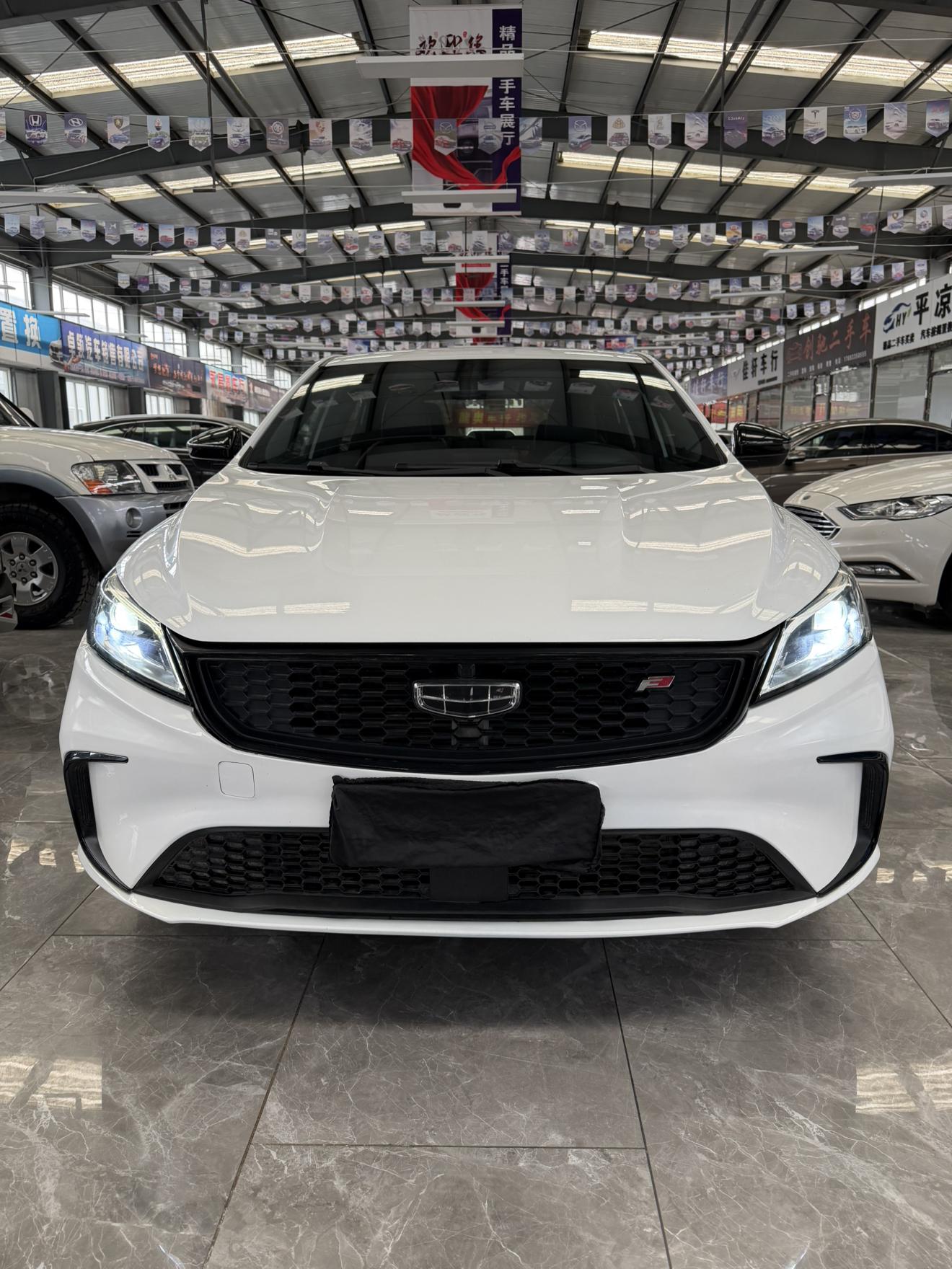 Geely Binrui