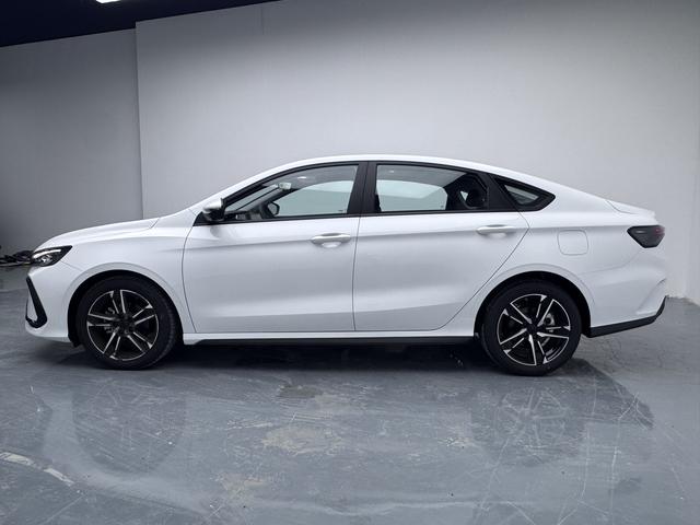 Geely Binrui