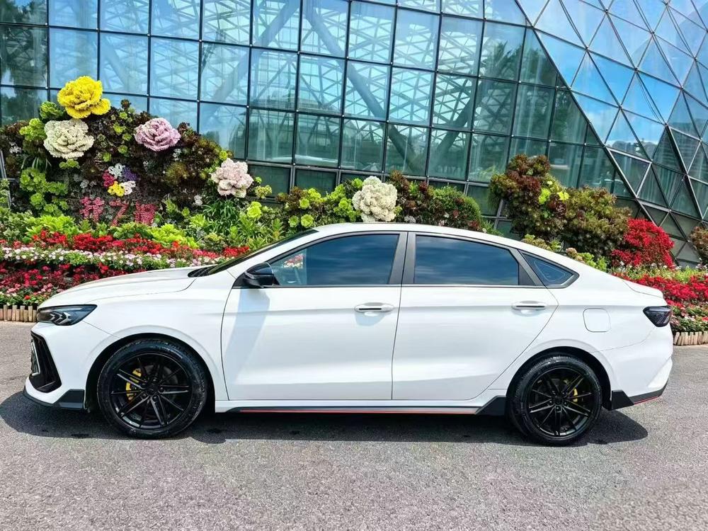 Geely Binrui