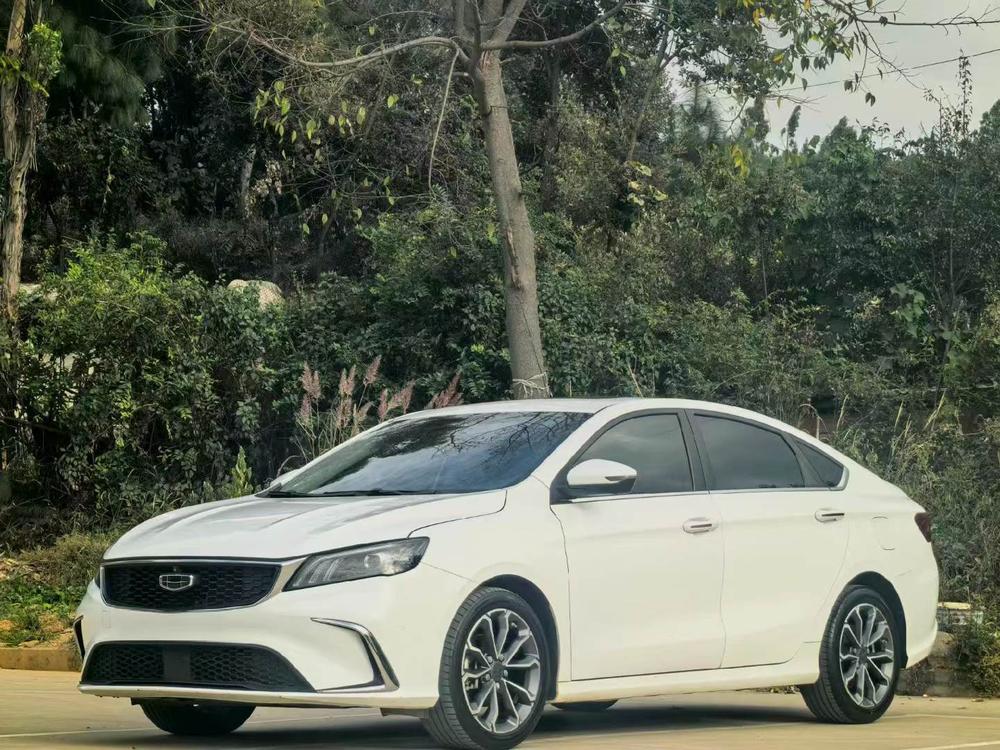 Geely Binrui