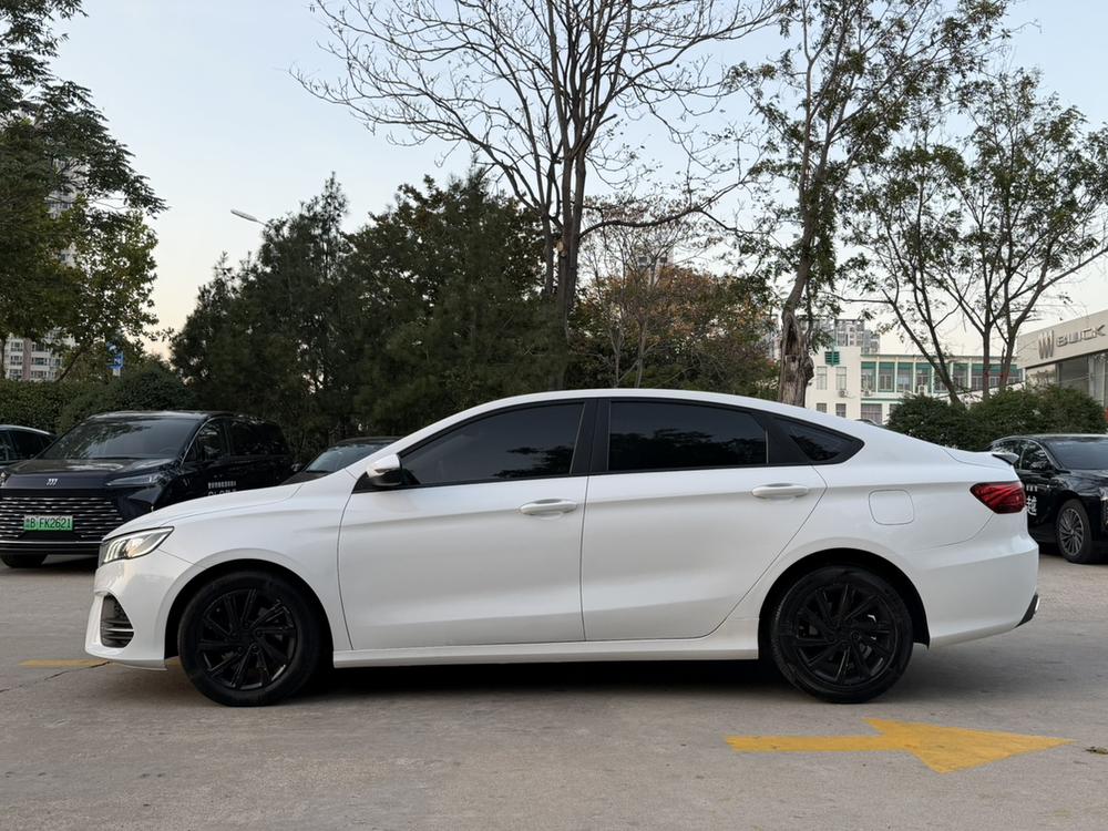 Geely Binrui
