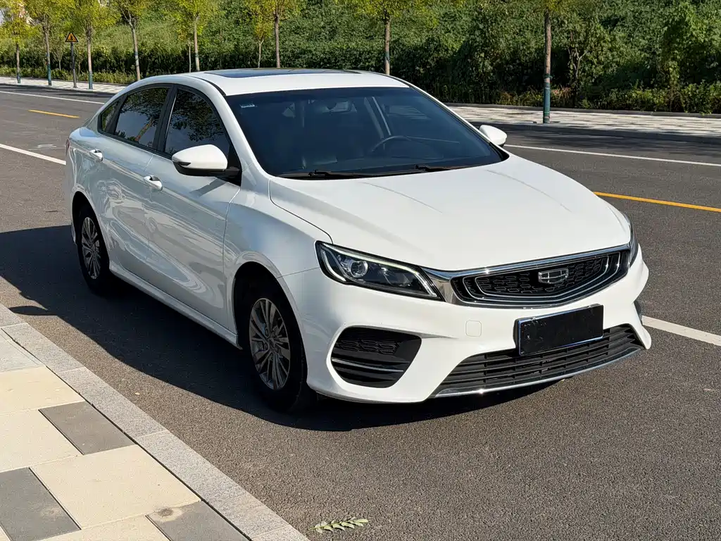 Geely Binrui