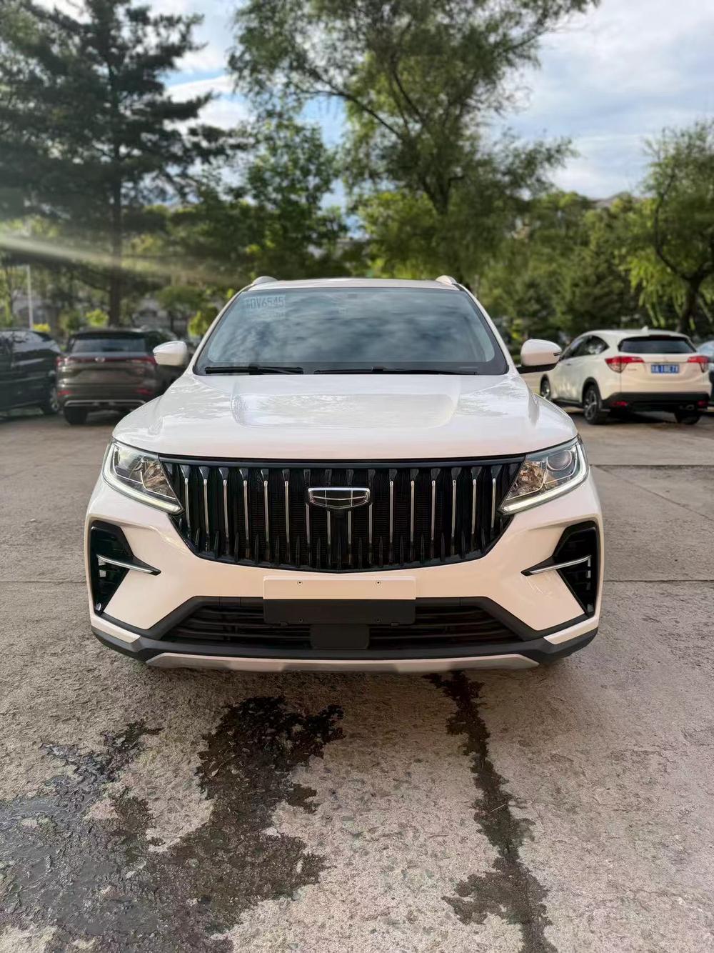 Geely Yuanjing X6