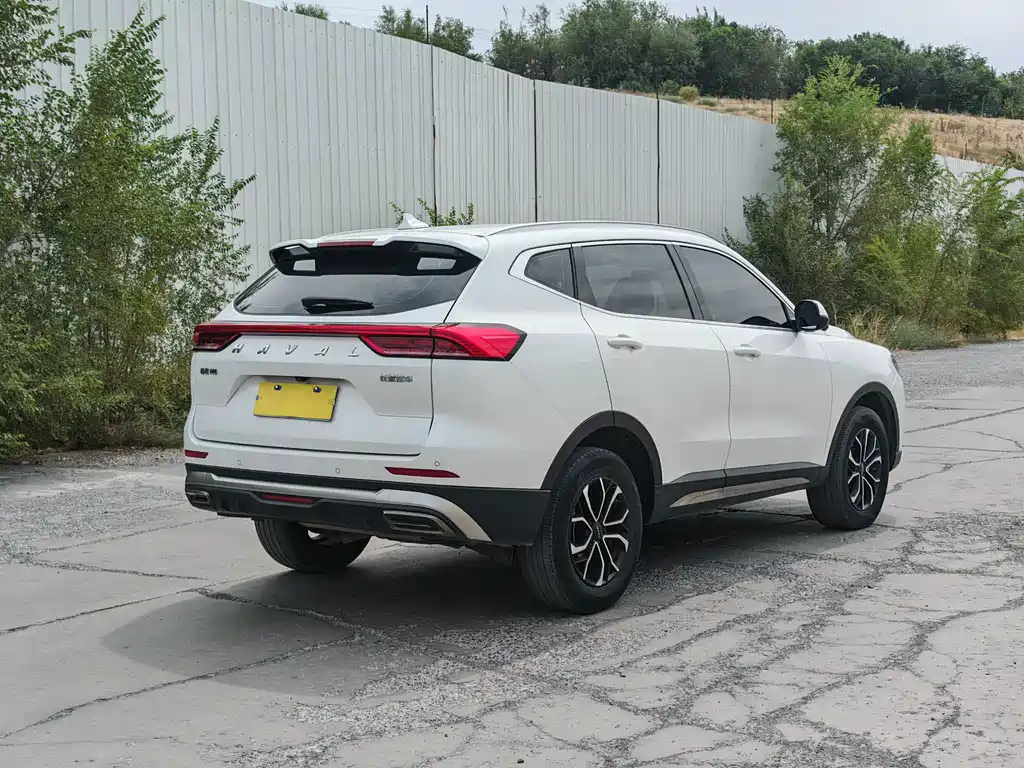Haval H6