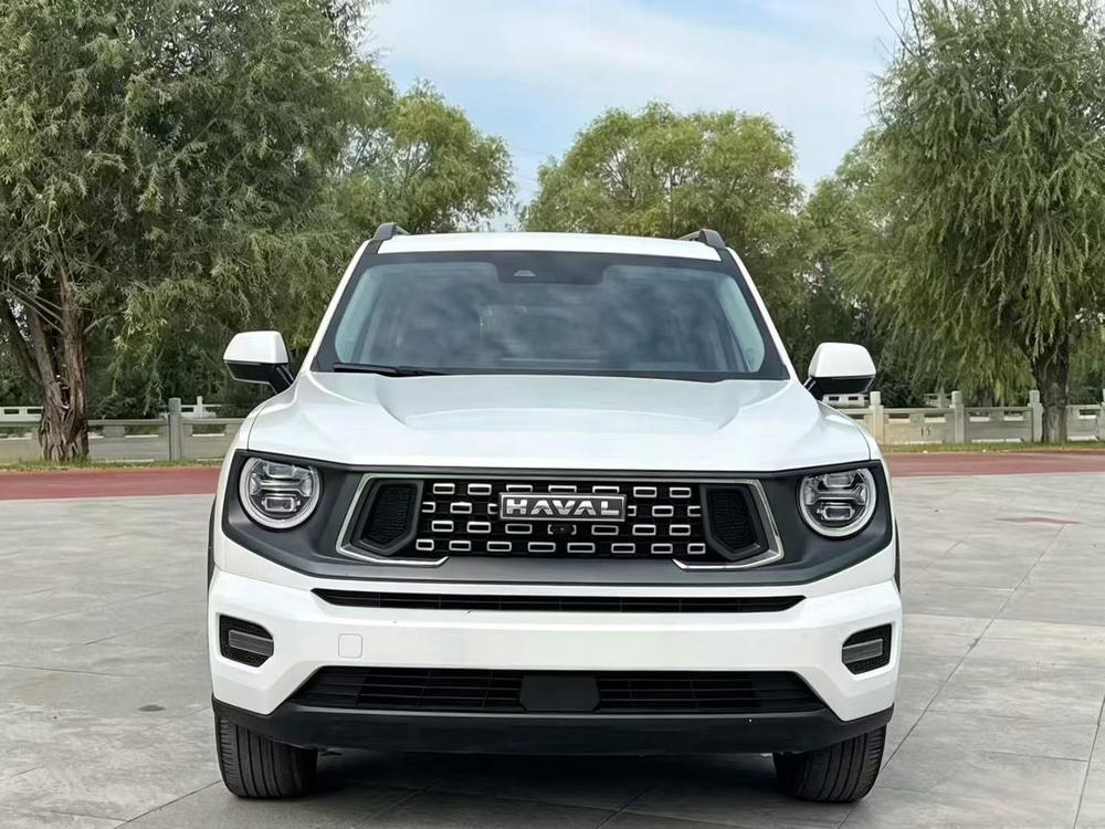 Haval Haval Big Dog PLUS