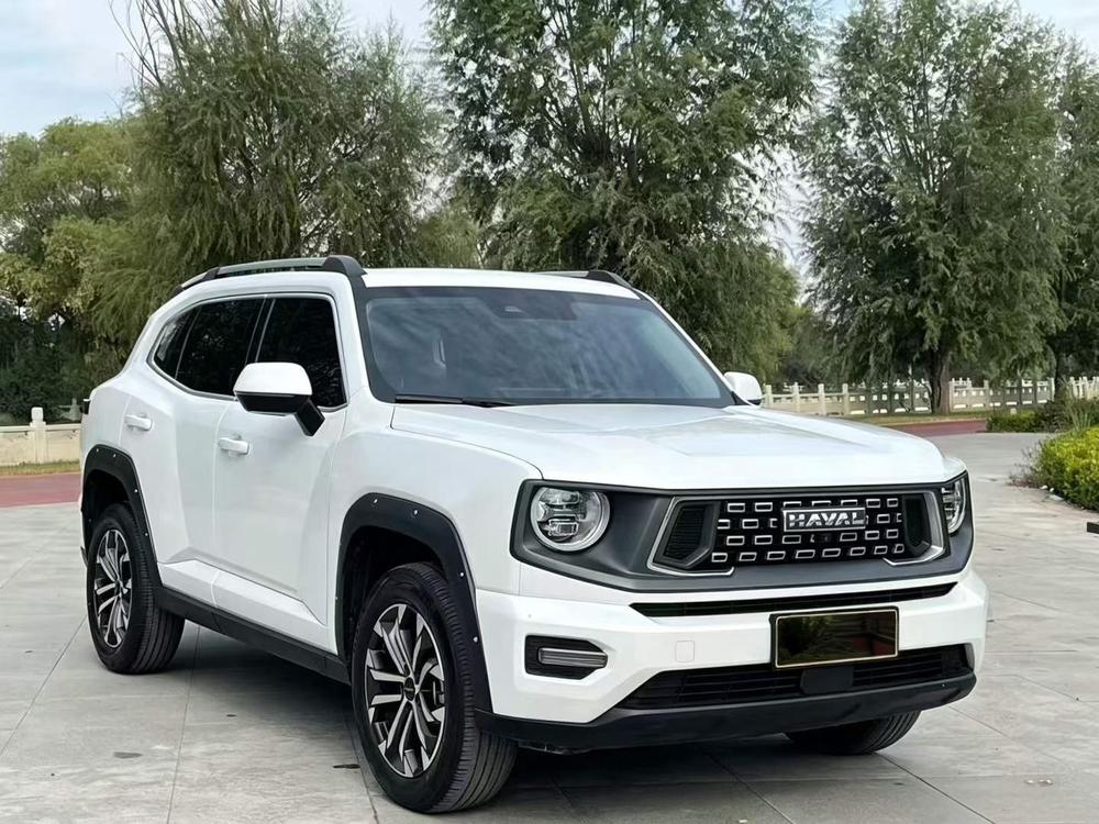 Haval Haval Big Dog PLUS