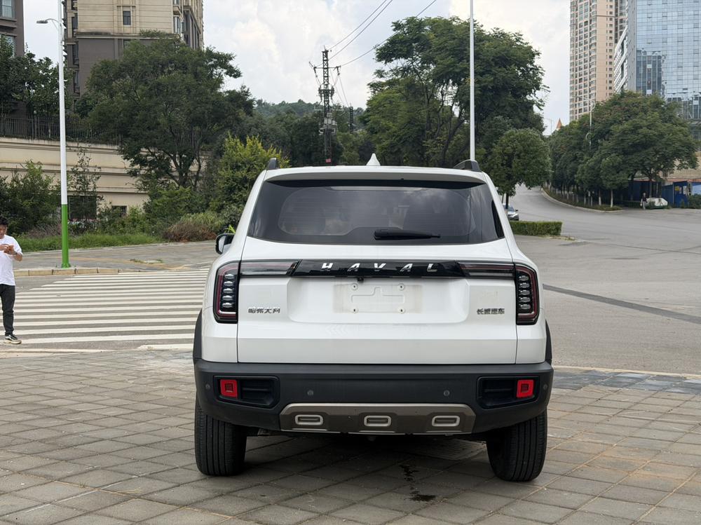 Haval 长城大狗