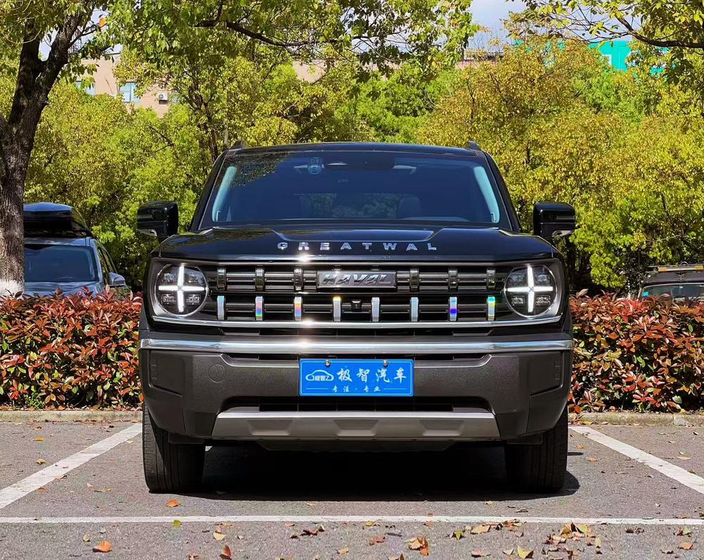 Haval Haval Cool Dog
