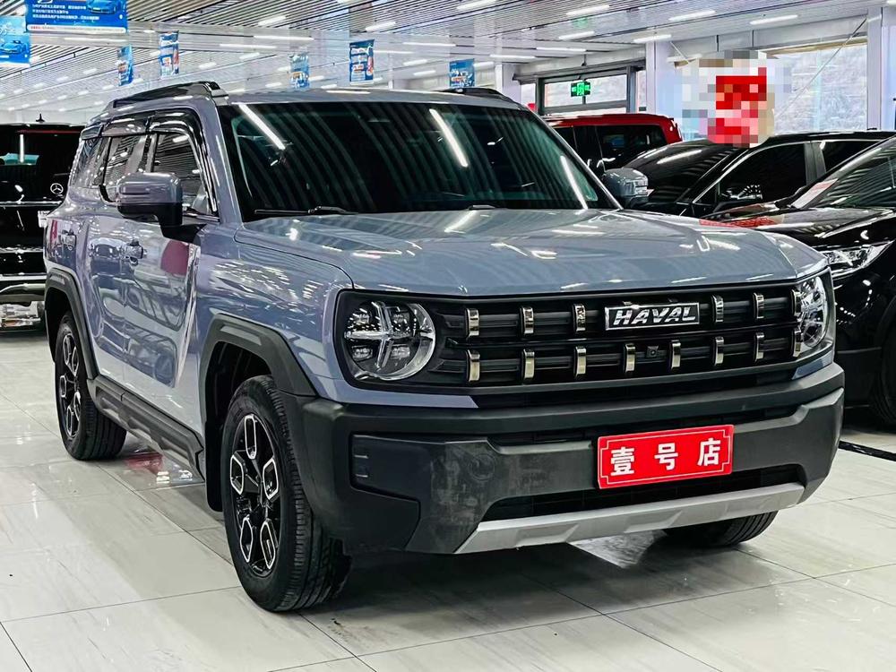 Haval Haval Cool Dog