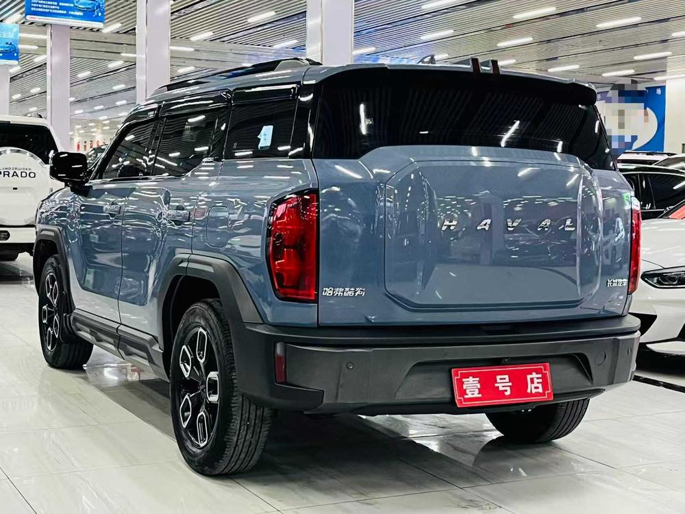 Haval Haval Cool Dog