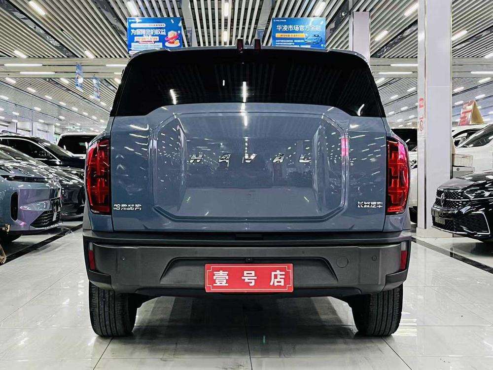 Haval Haval Cool Dog