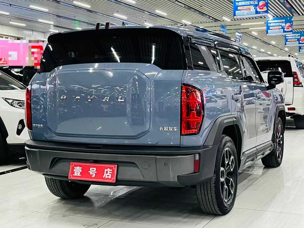 Haval Haval Cool Dog