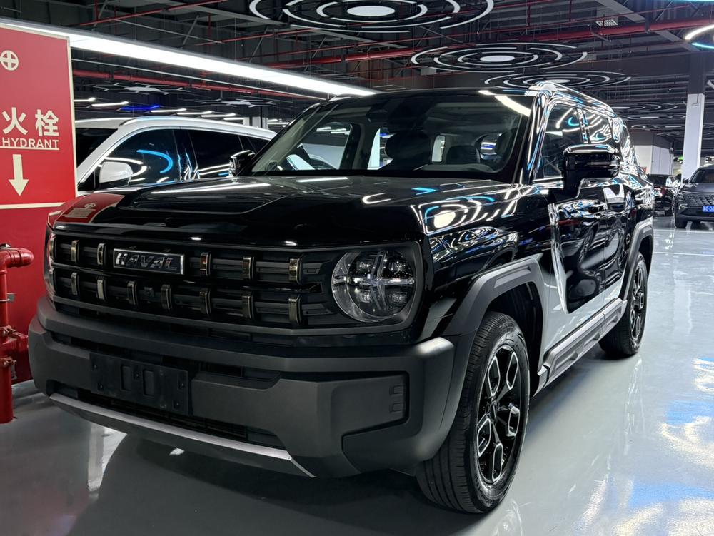 Haval Haval Cool Dog