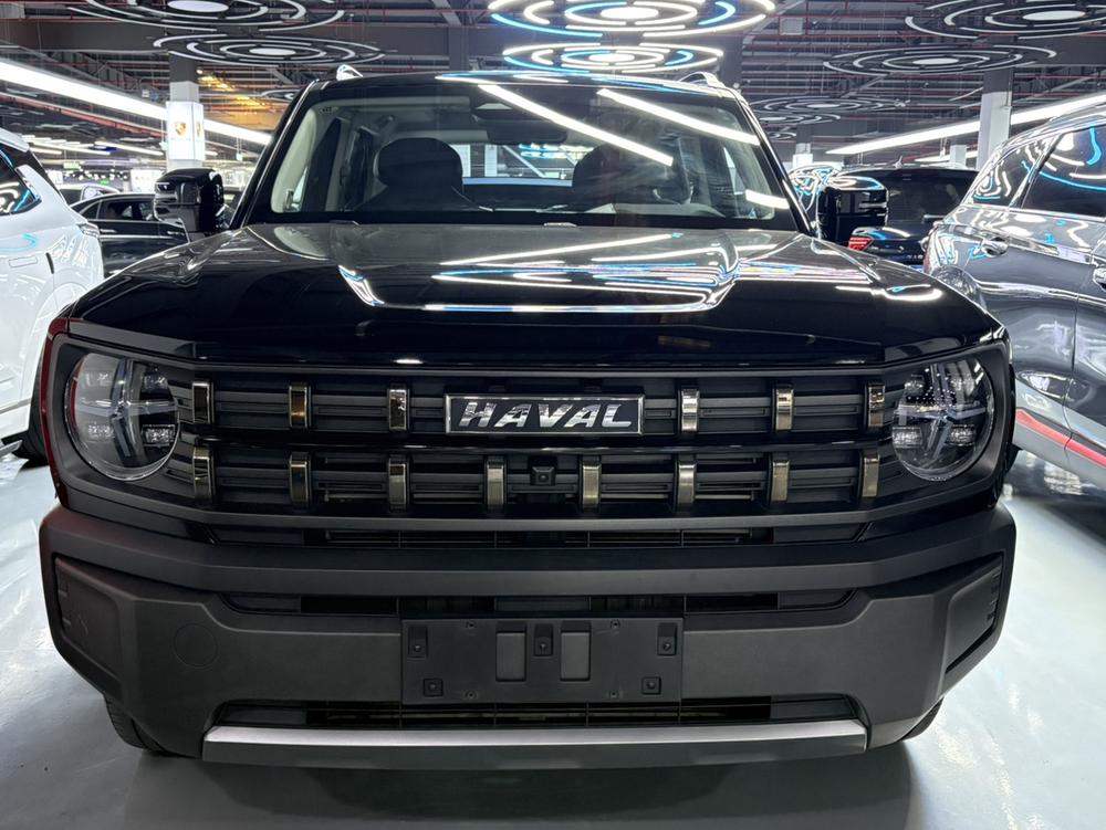 Haval Haval Cool Dog
