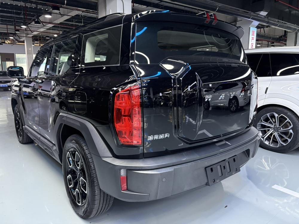 Haval Haval Cool Dog