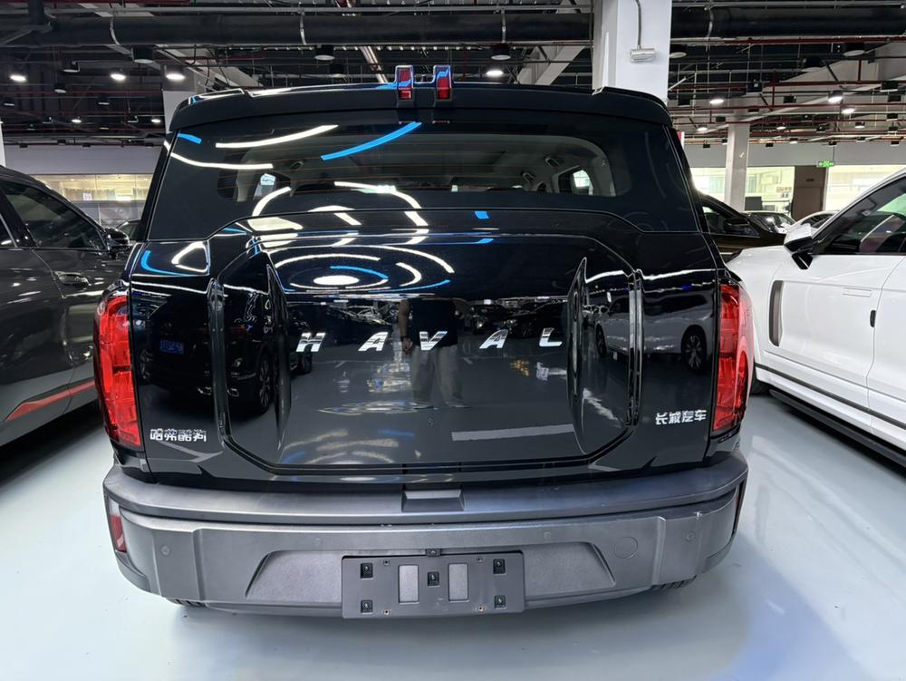 Haval Haval Cool Dog