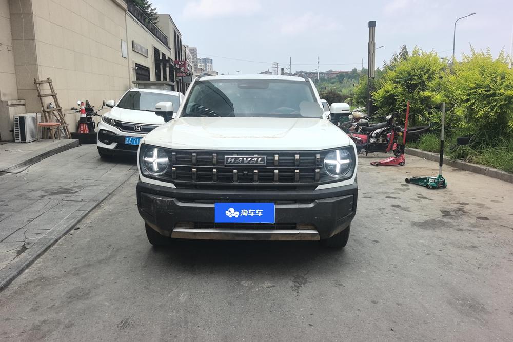 Haval Haval Cool Dog