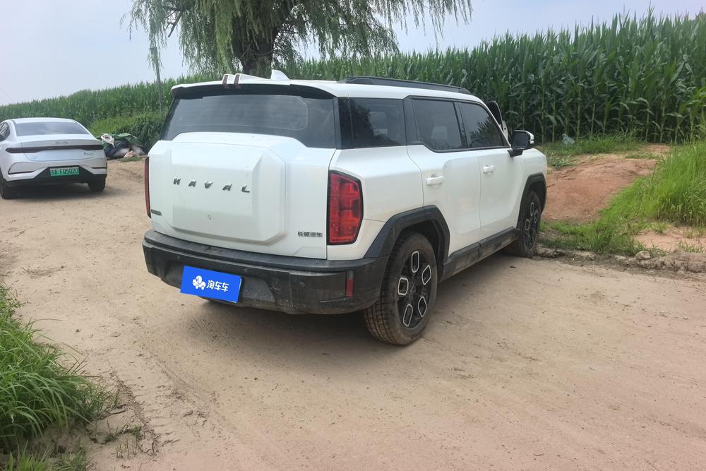 Haval Haval Cool Dog