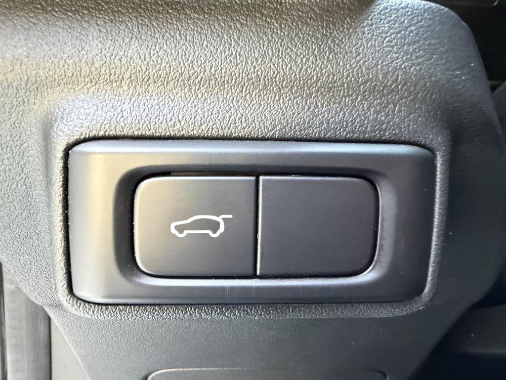 Haval Haval Cool Dog