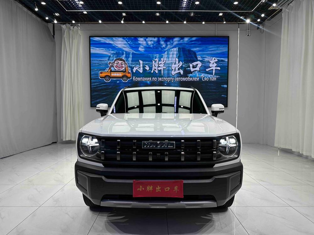 Haval Haval Cool Dog