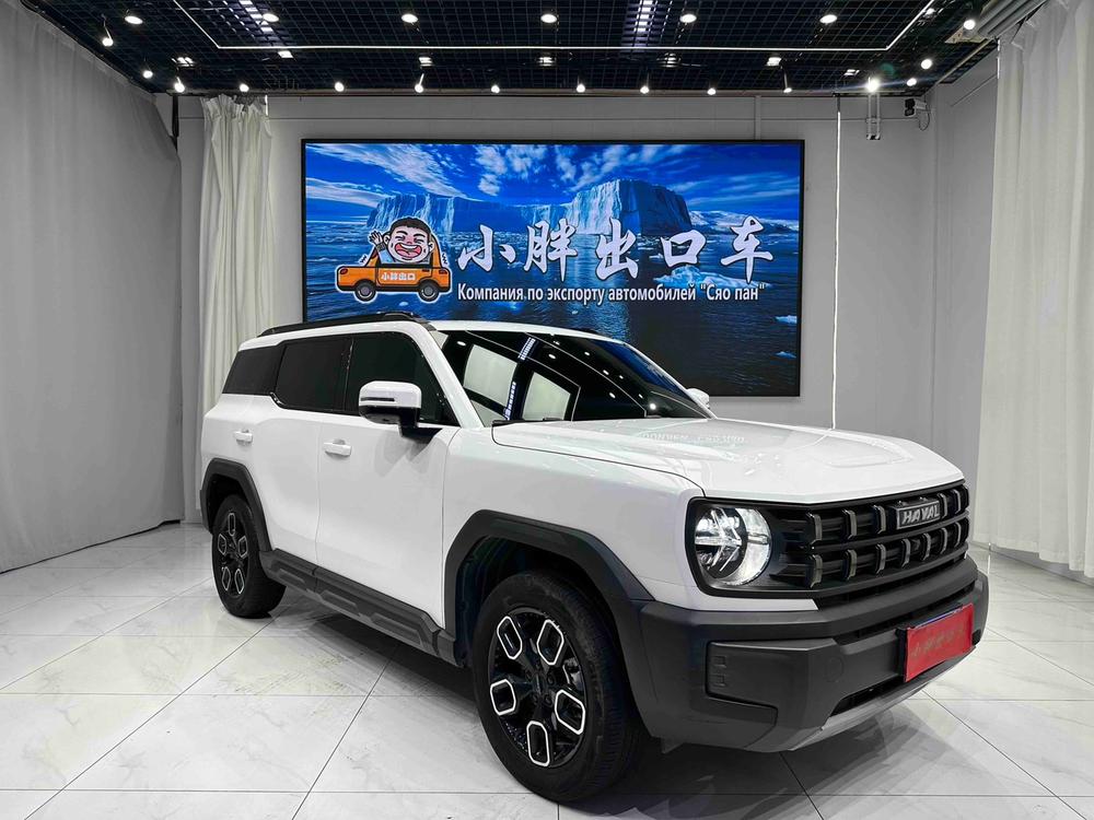 Haval Haval Cool Dog
