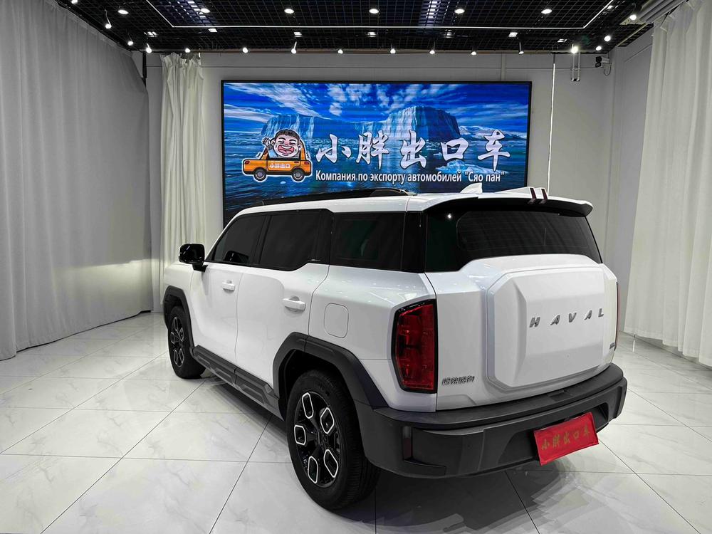Haval Haval Cool Dog