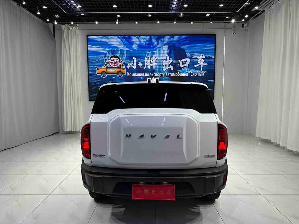 Haval Haval Cool Dog