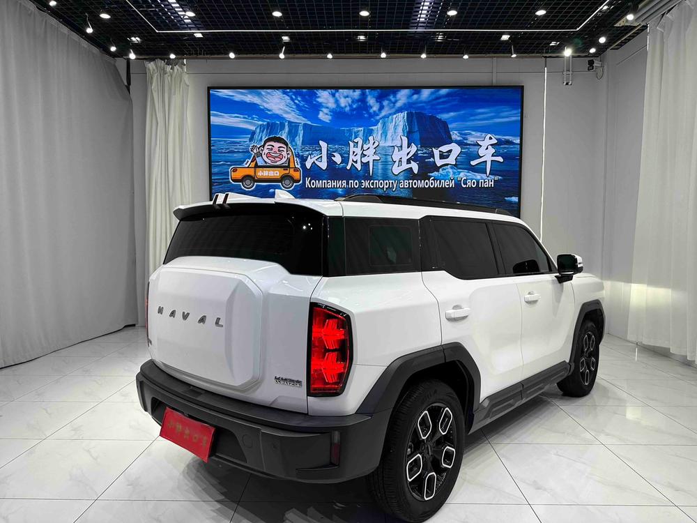 Haval Haval Cool Dog