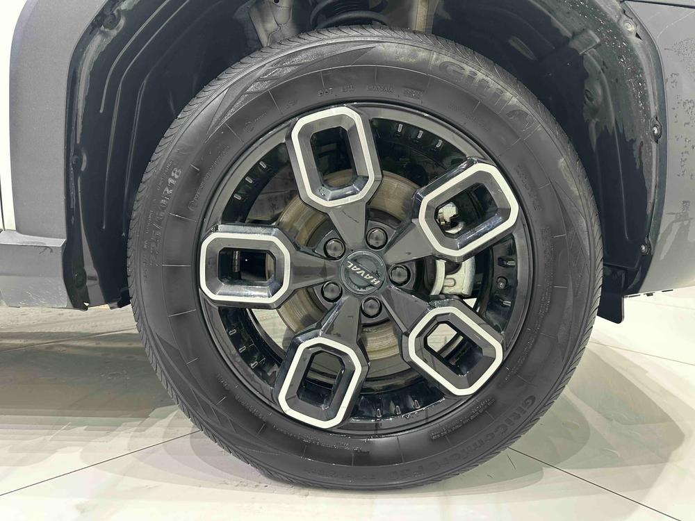 Haval Haval Cool Dog