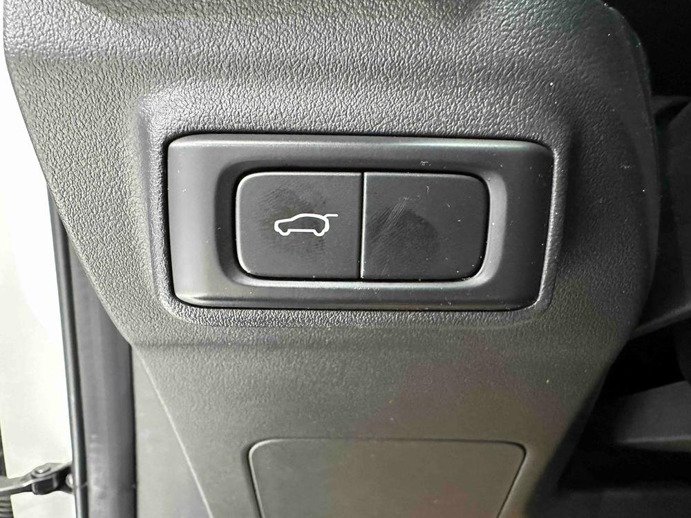 Haval Haval Cool Dog