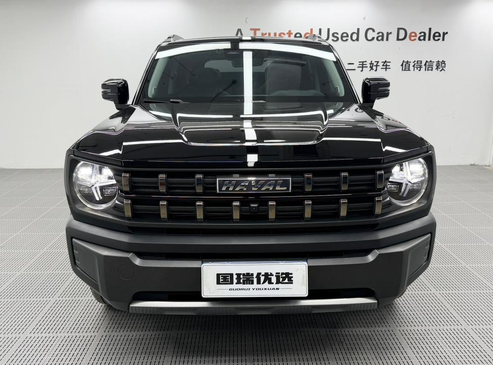 Haval Haval Cool Dog