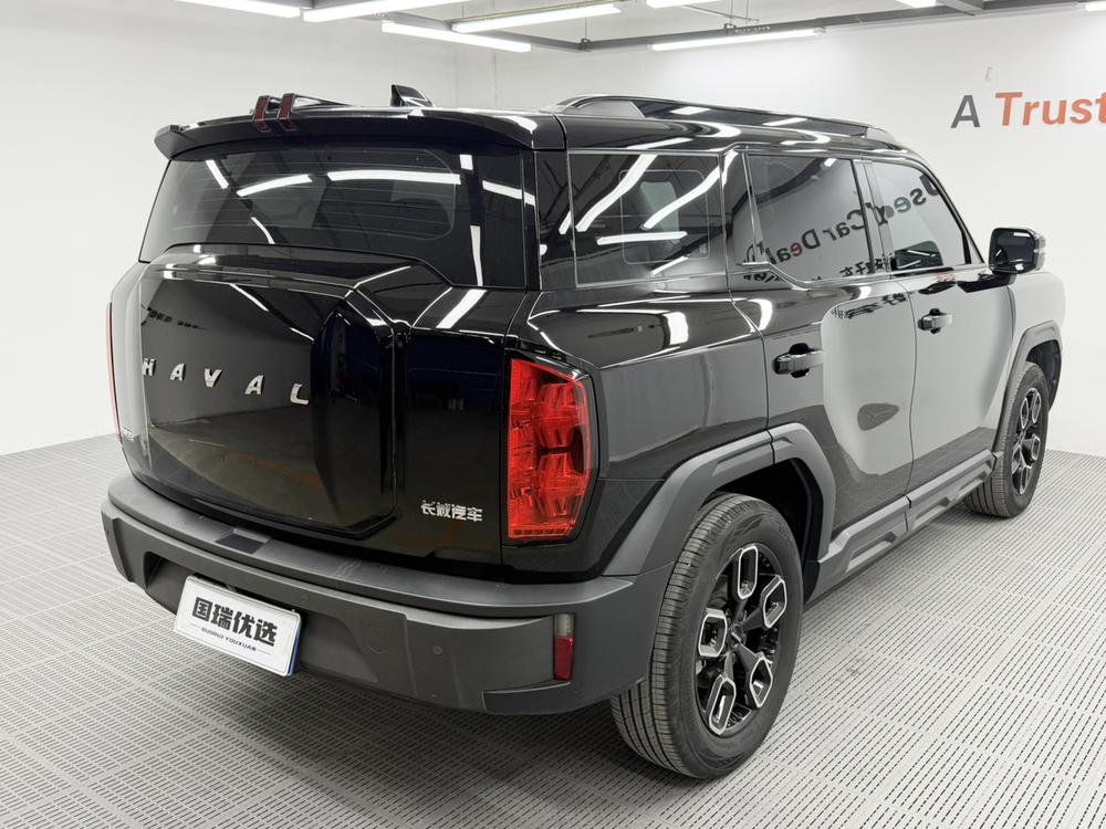 Haval Haval Cool Dog