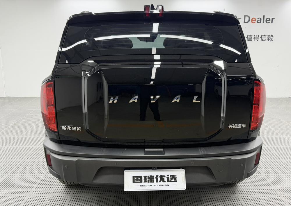 Haval Haval Cool Dog