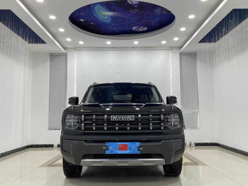Haval Haval Cool Dog