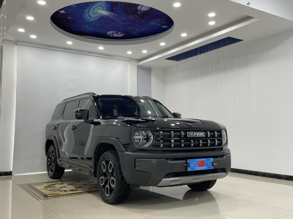 Haval Haval Cool Dog