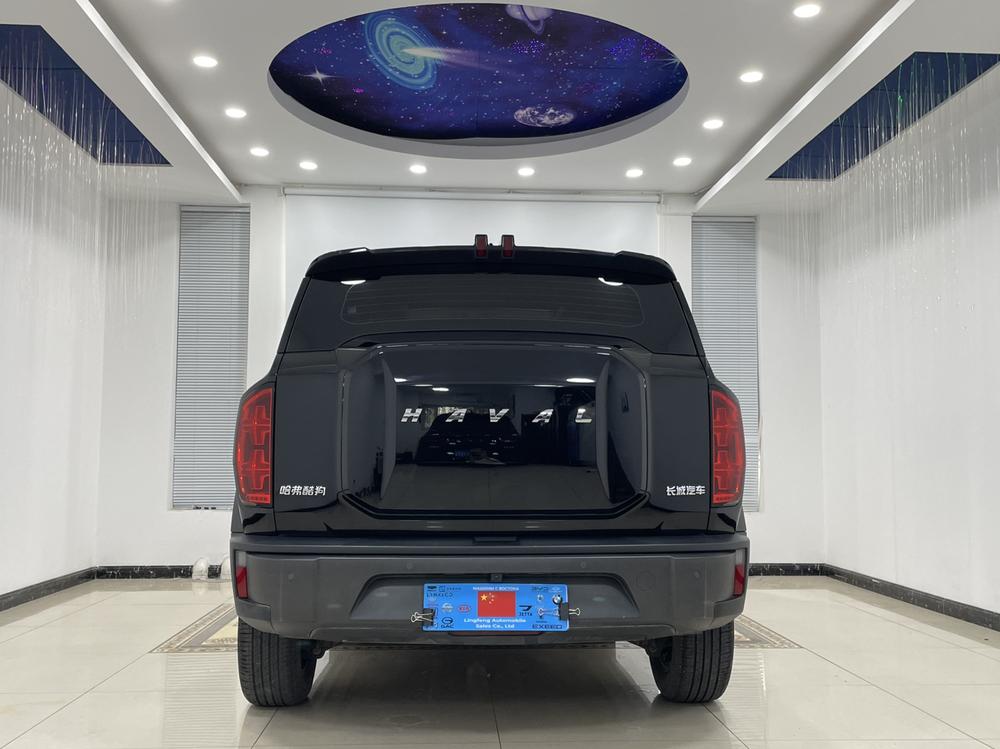 Haval Haval Cool Dog