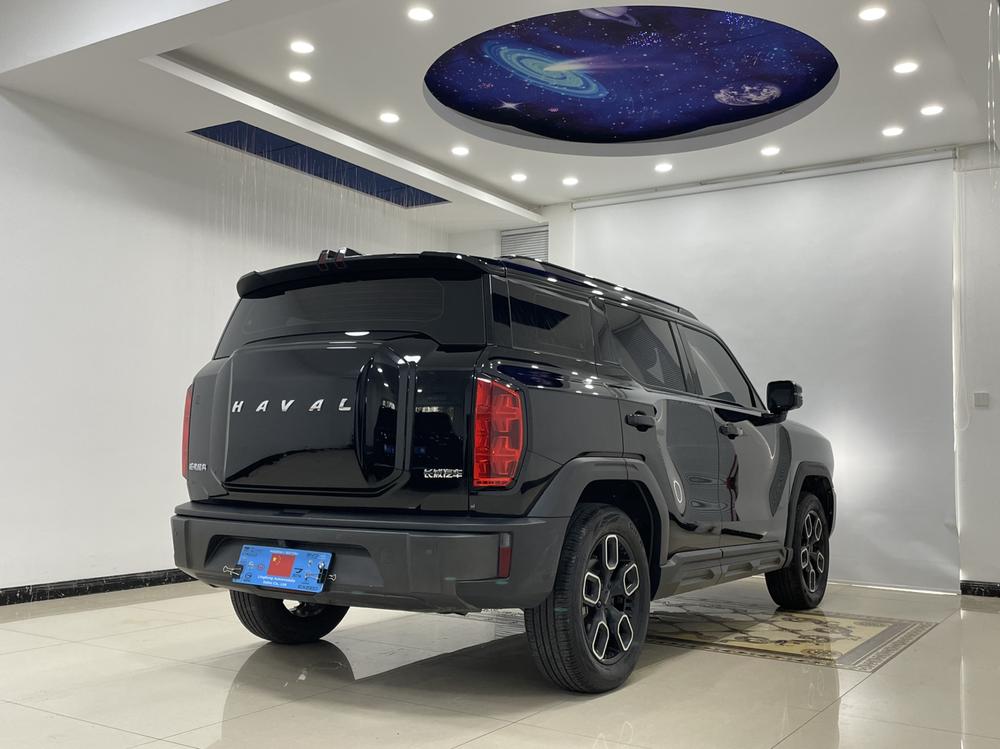 Haval Haval Cool Dog