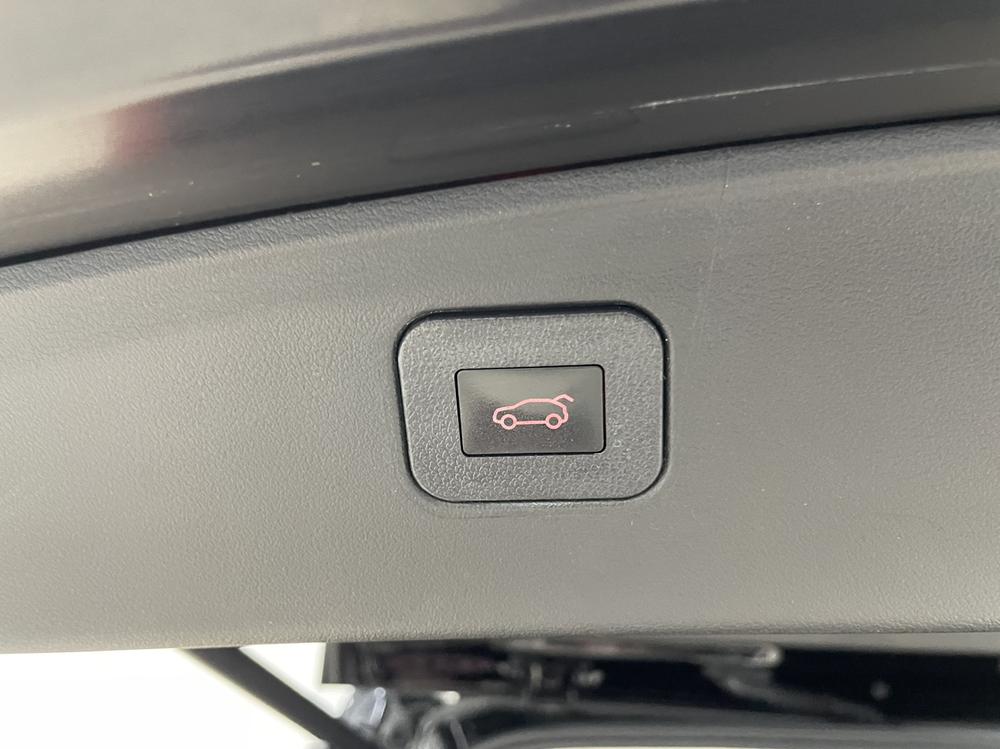 Haval Haval Cool Dog