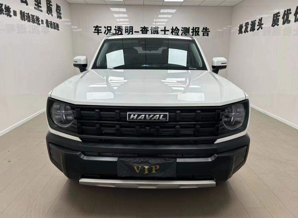 Haval Haval Cool Dog