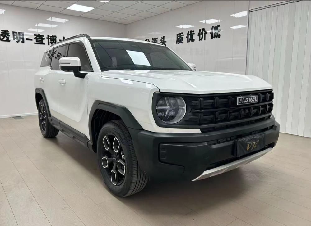 Haval Haval Cool Dog