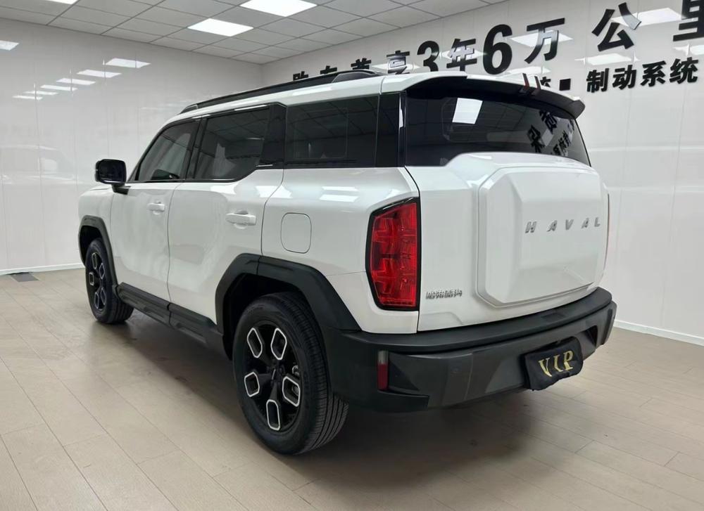 Haval Haval Cool Dog