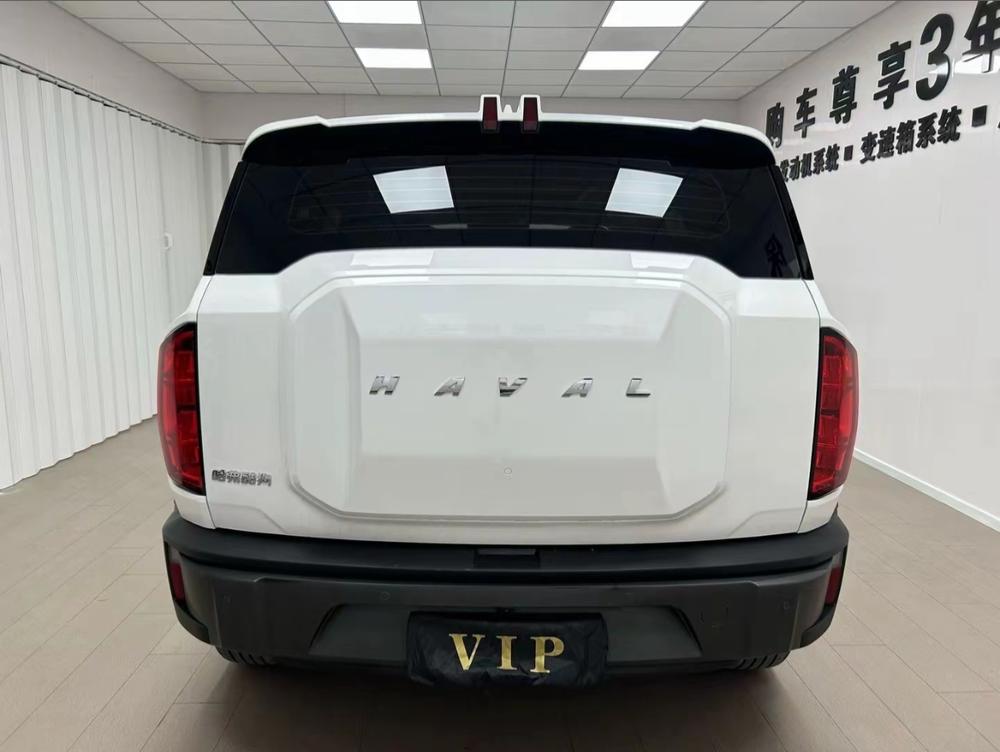 Haval Haval Cool Dog