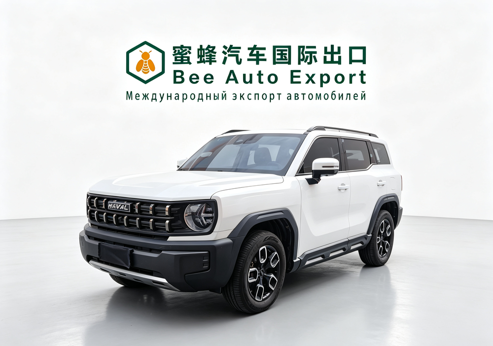 Haval Haval Cool Dog