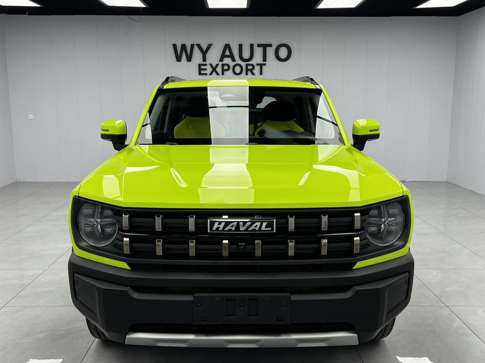 Haval Haval Cool Dog