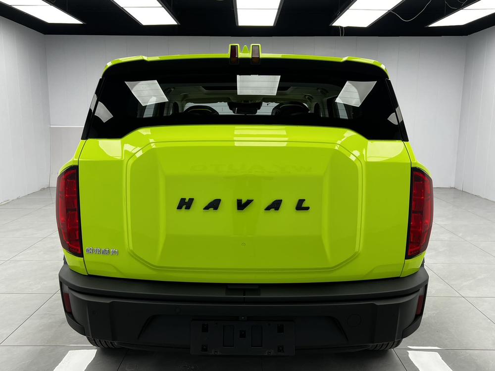 Haval Haval Cool Dog