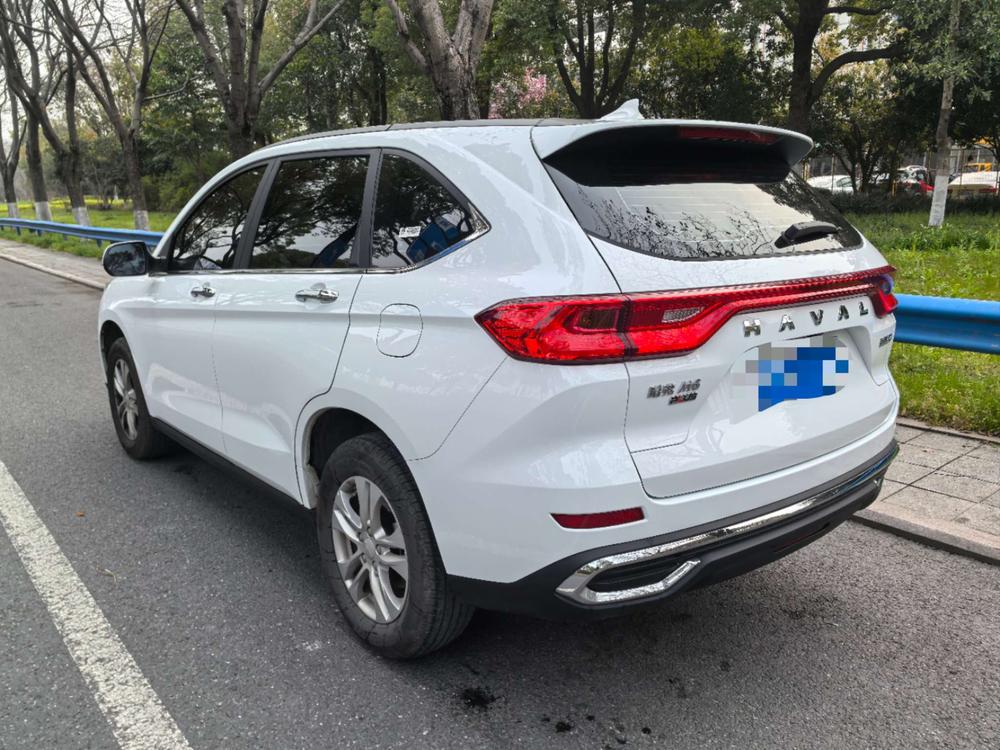 Haval Haval M6