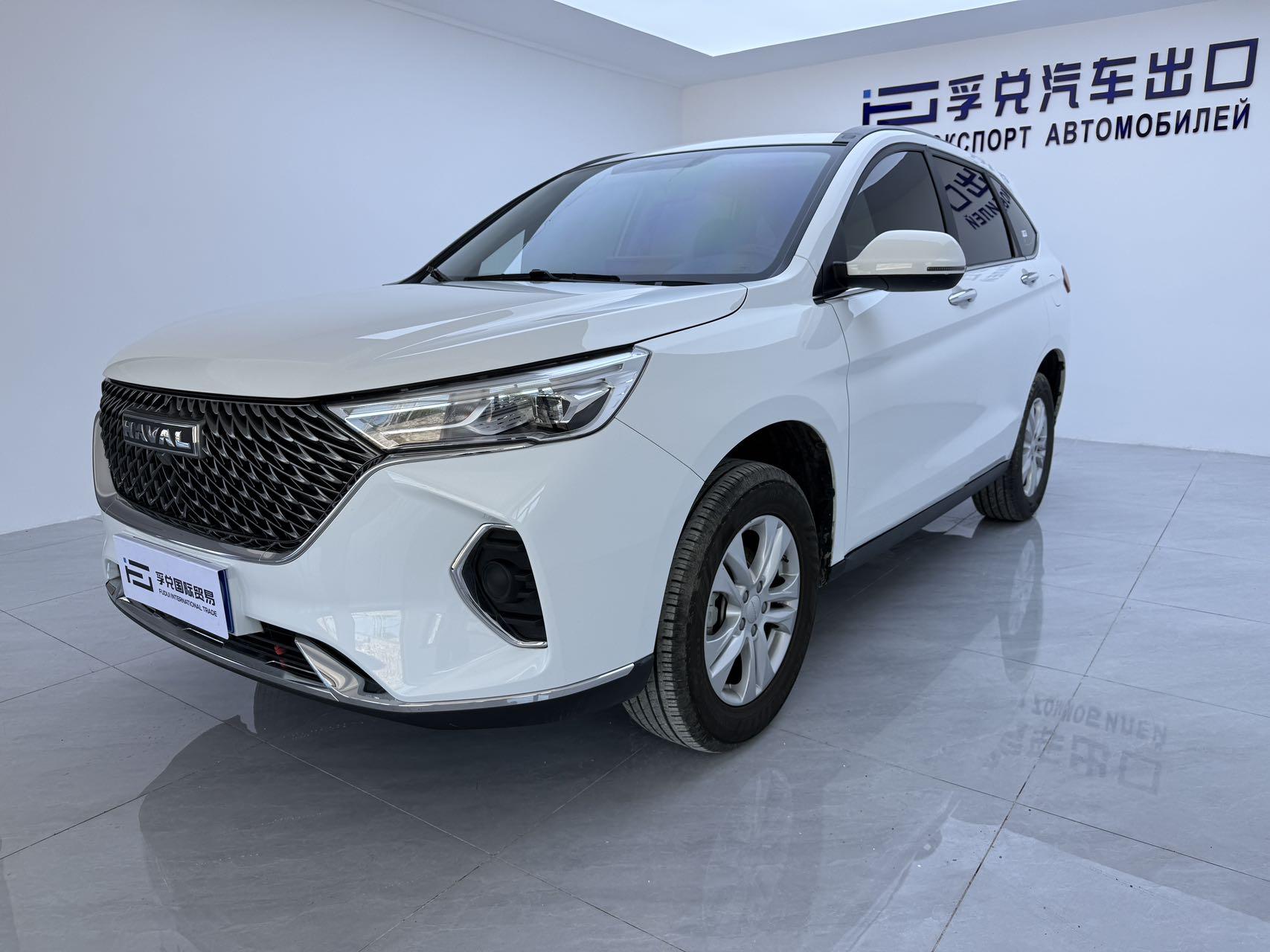 Haval Haval M6