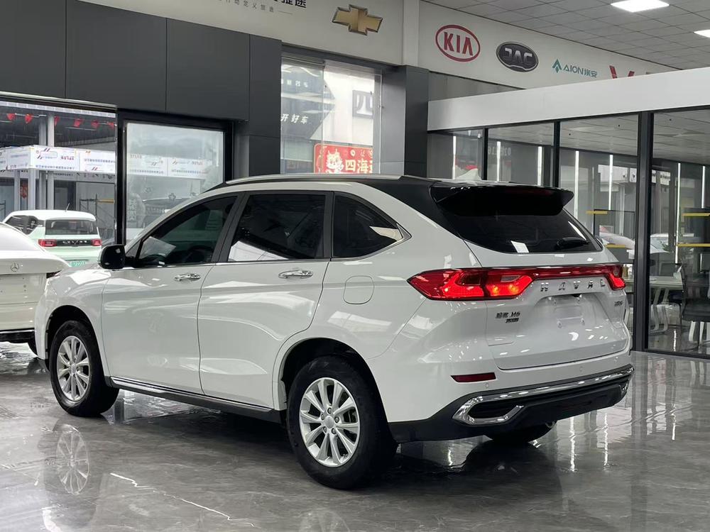 Haval Haval M6
